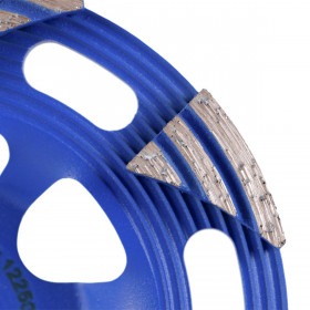 Schleiftopf DGS-W 125 Raptor, Distar №3