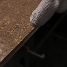 Diamant-Polierpads 100x3x15 CleanPad 0, Distar №7